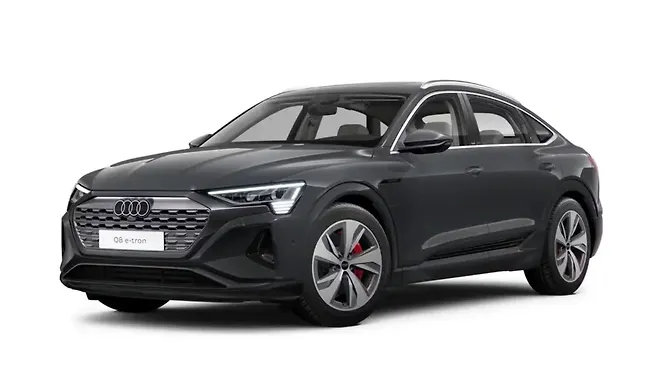 Magnet Gray