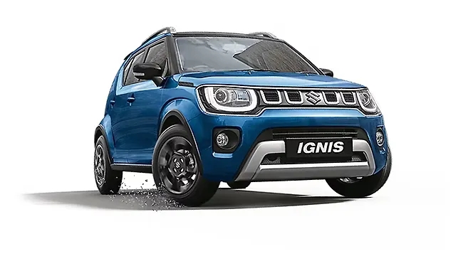 Nexa Blue with Bluish Black roof