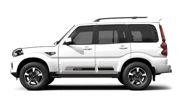 Everest White