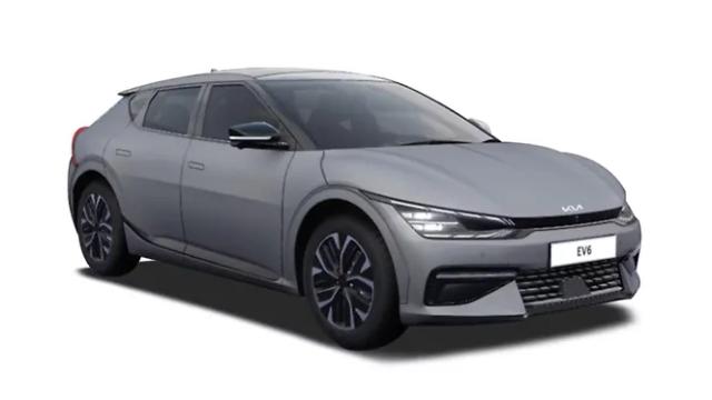 Wolf Gray