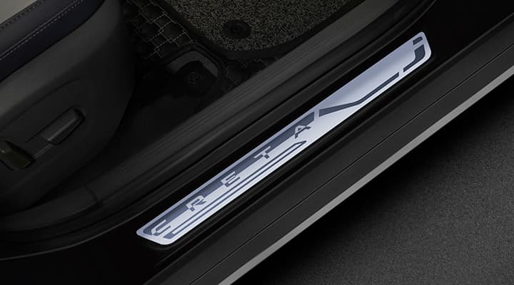Door Sill Guard | Hooter