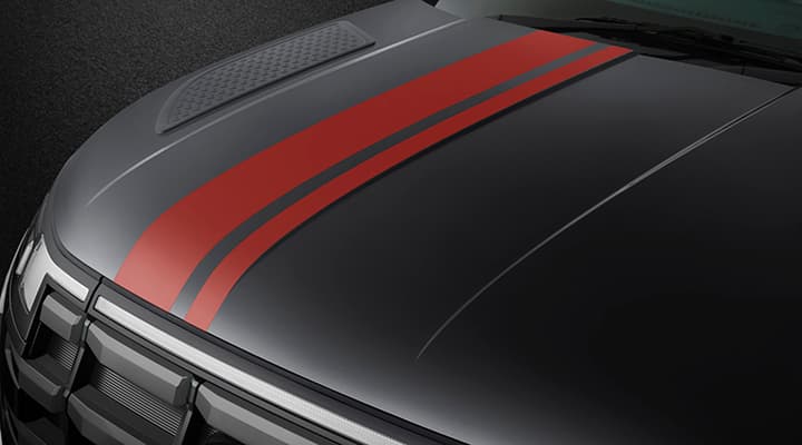 Sporty Body Decals | Hooter