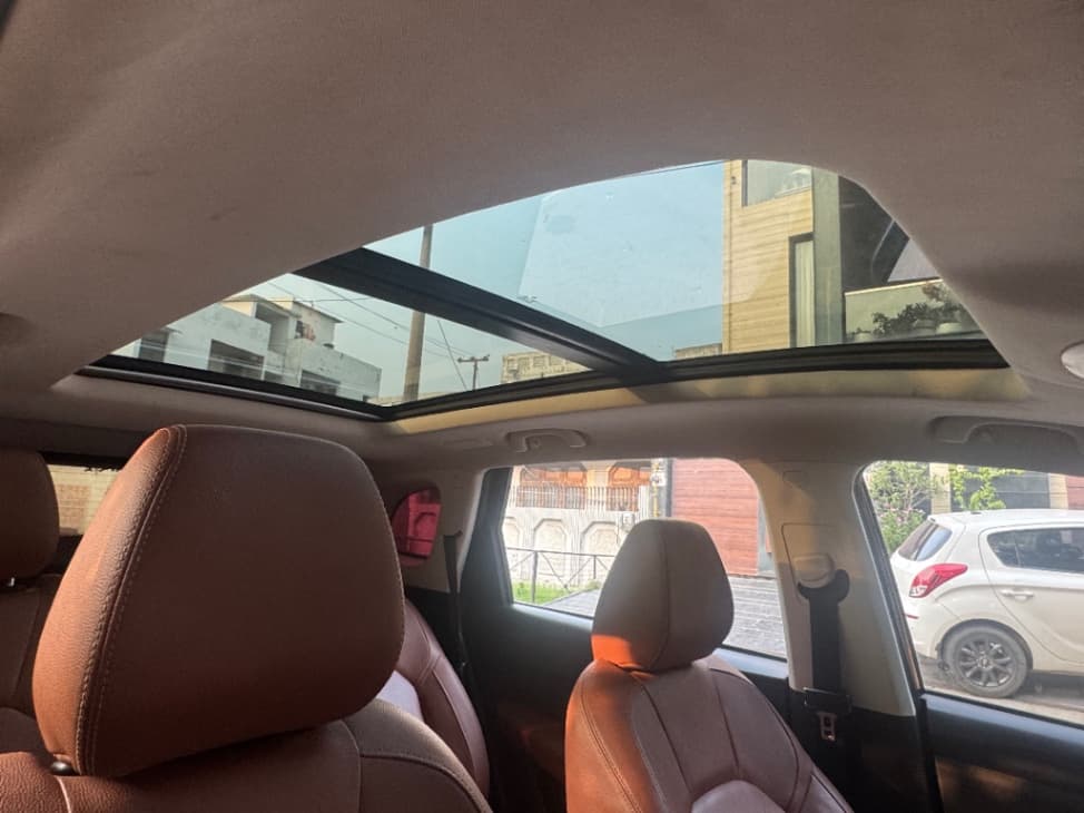 INTERIOR image for Hector Plus | Hooter