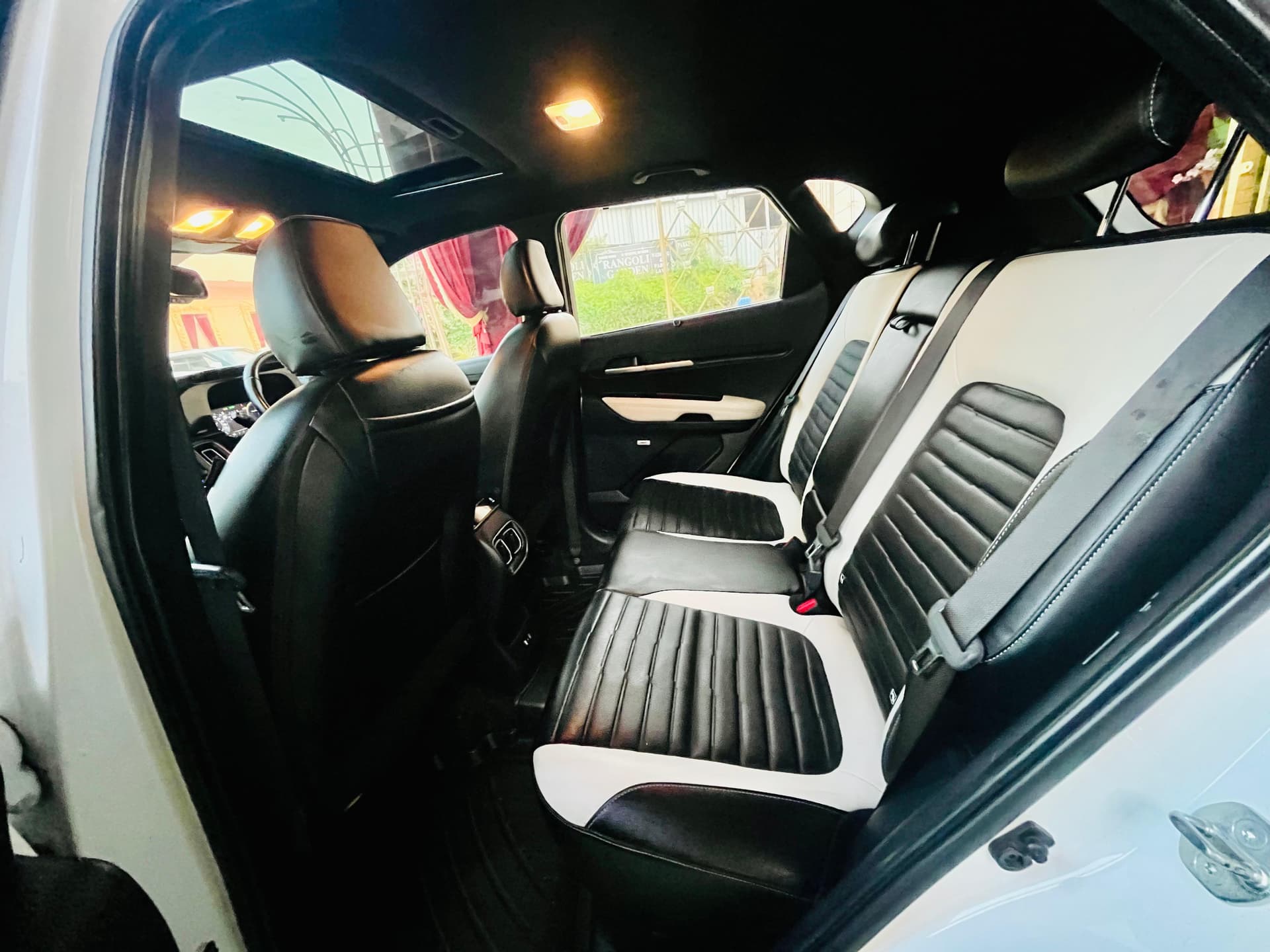 INTERIOR image for Sonet | Hooter