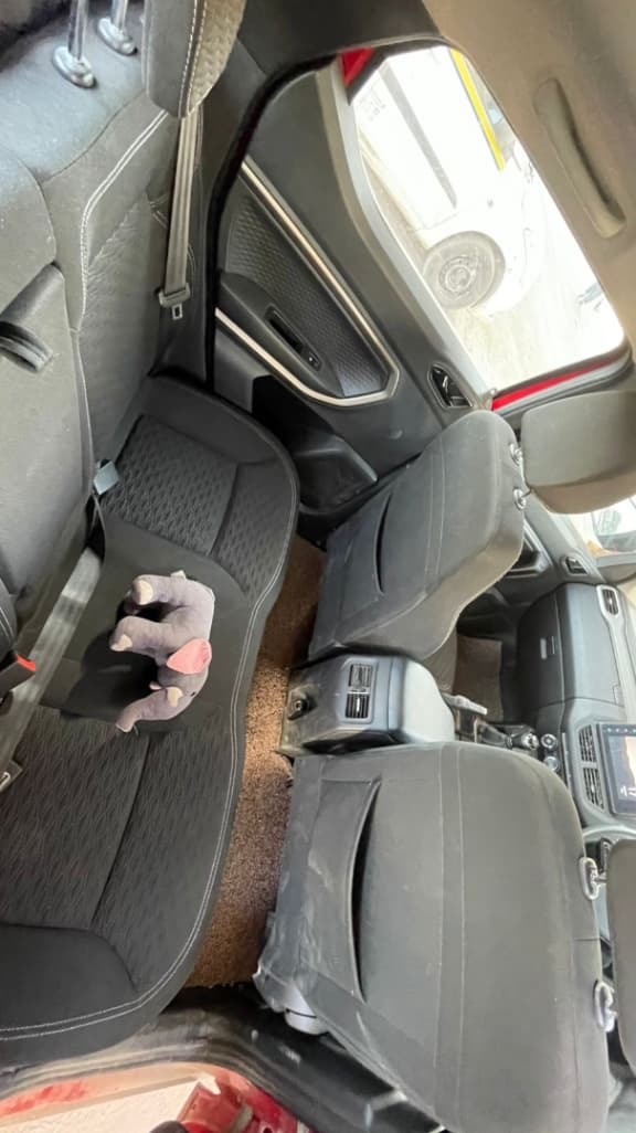 INTERIOR image for Kiger | Hooter