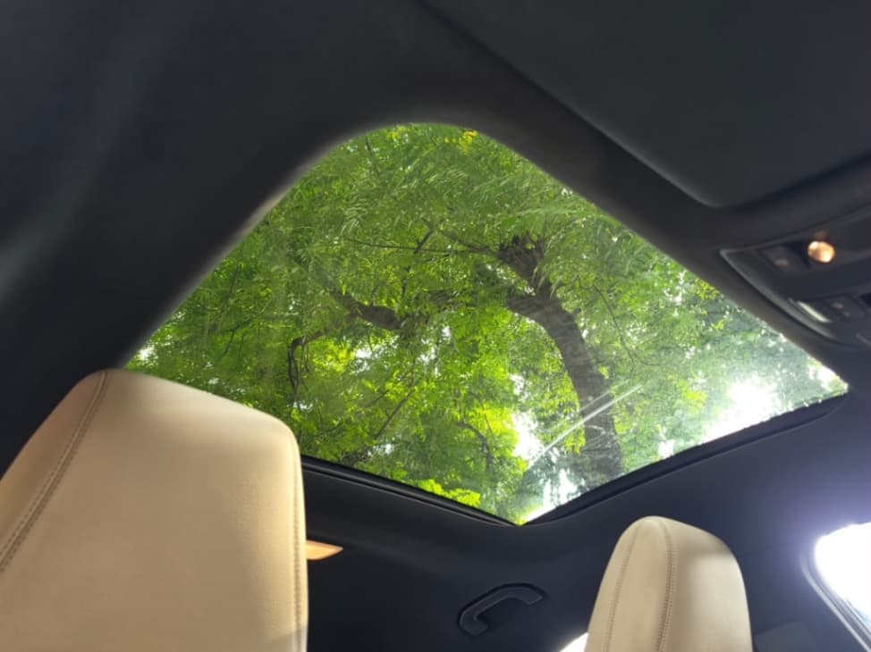 INTERIOR image for CLA | Hooter