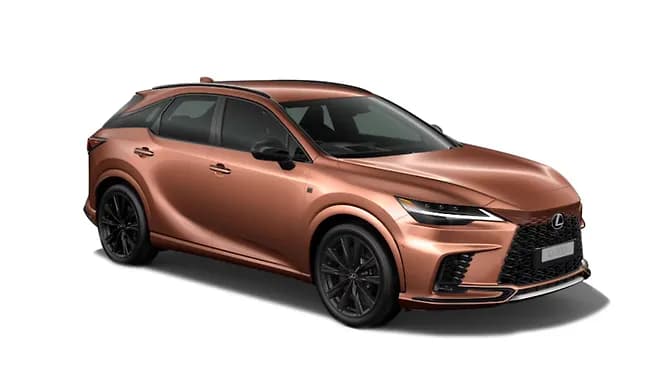 New Sonic Copper | Hooter