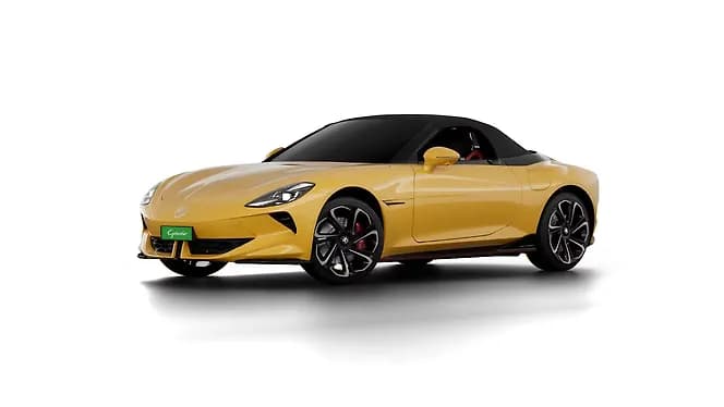 Nuclear Yellow with Black roof | Hooter