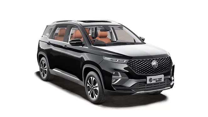 Starry Black | Hooter