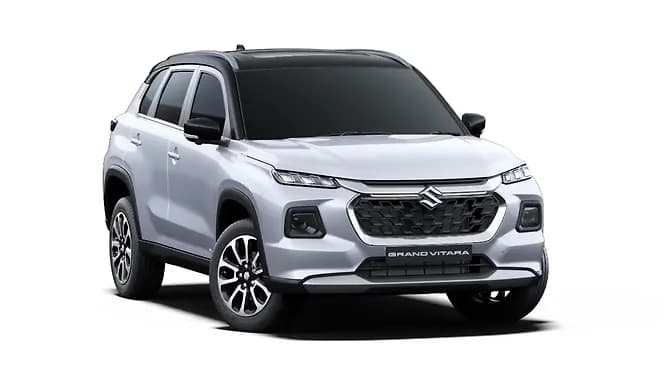 Arctic White + Black