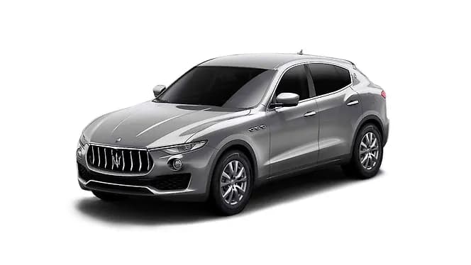 Grigio | Hooter