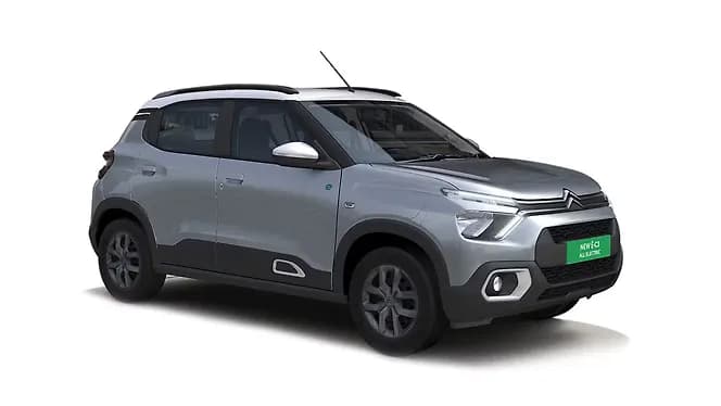 Steel Grey with Polar White roof