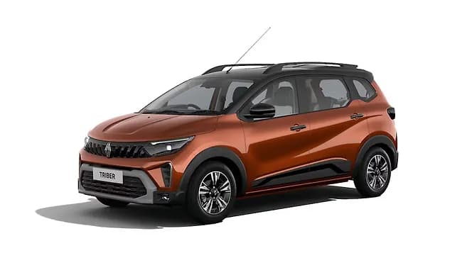 Amber Terracotta with Black Roof