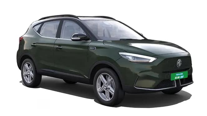 Green with Black roof | Hooter