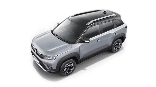 Splendid Silver with Bluish Black Roof