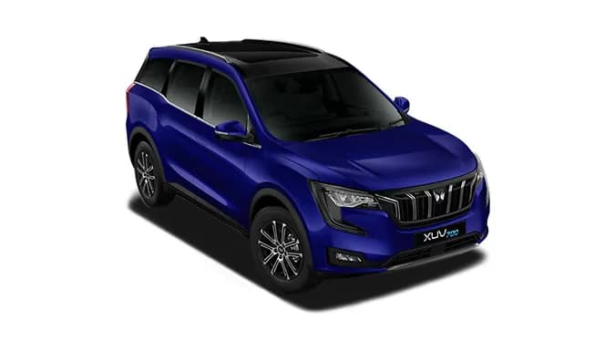 Electric Blue with Black Roof | Hooter Electric Blue with Black Roof | Hooter