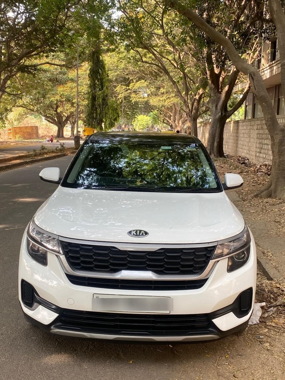 Kia Seltos | Hooter Kia Seltos | Hooter